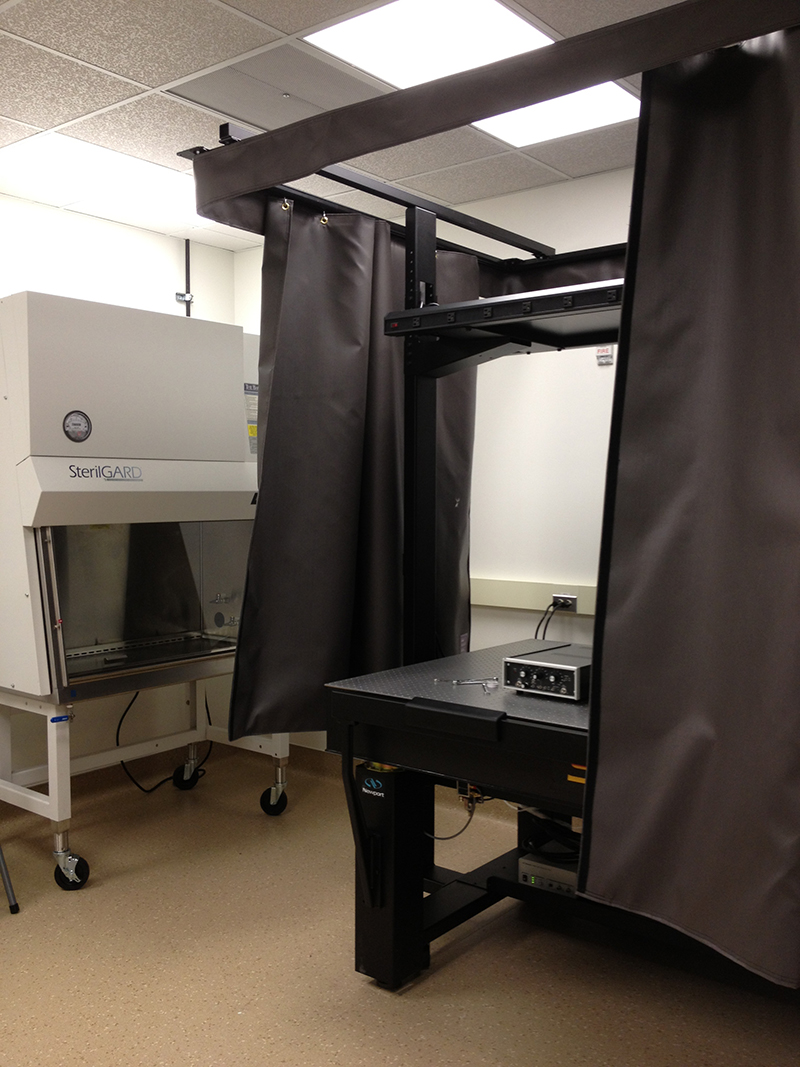 Lab update: Optical table and biohood is up.